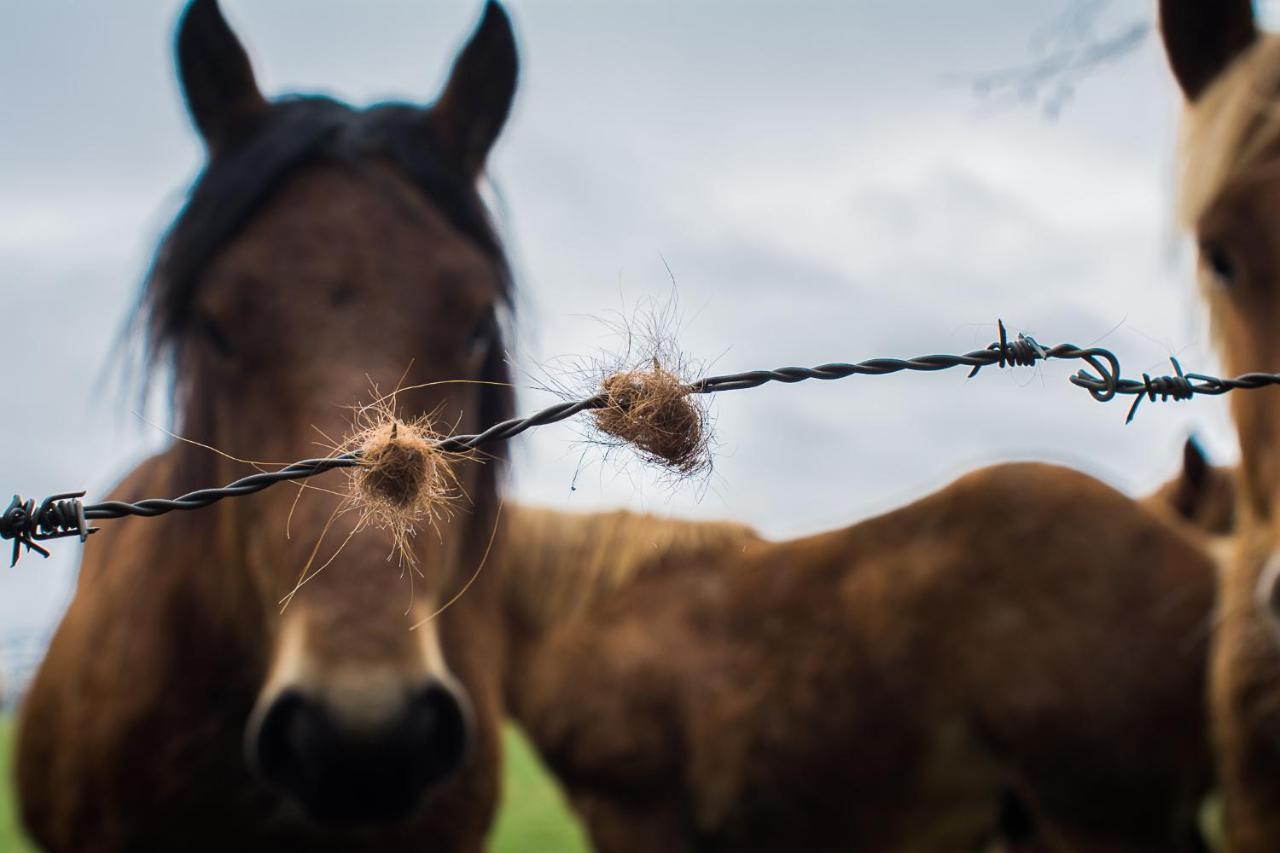 Lorentx Aterpea Burguete Buitenkant foto